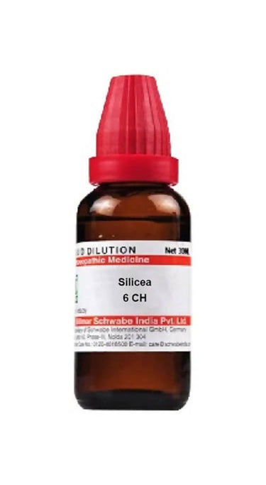 https://cdn.shopify.com/s/files/1/1857/6931/products/NhpBaDGuLA.jpg?v=1714454570